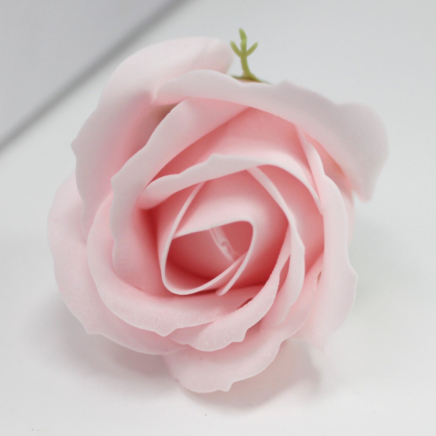 Fiori di Sapone DIY - Rosa M - Rosa