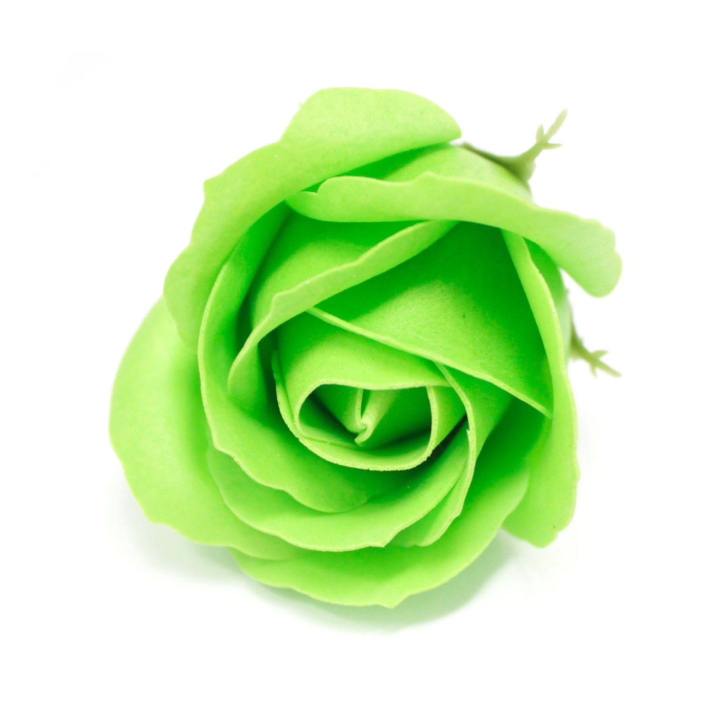 Fiori di Sapone DIY - Rosa M - Verde