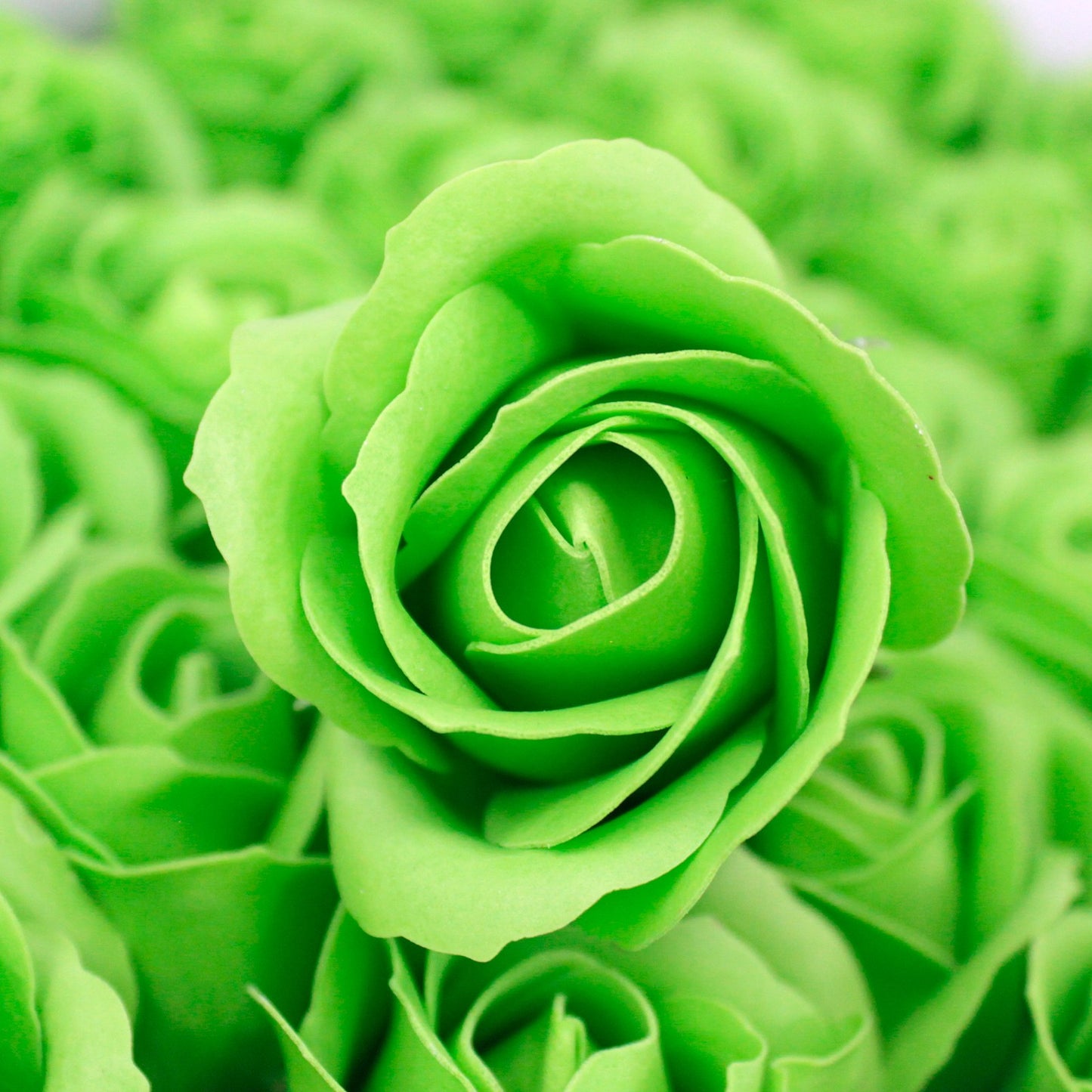 Fiori di Sapone DIY - Rosa M - Verde