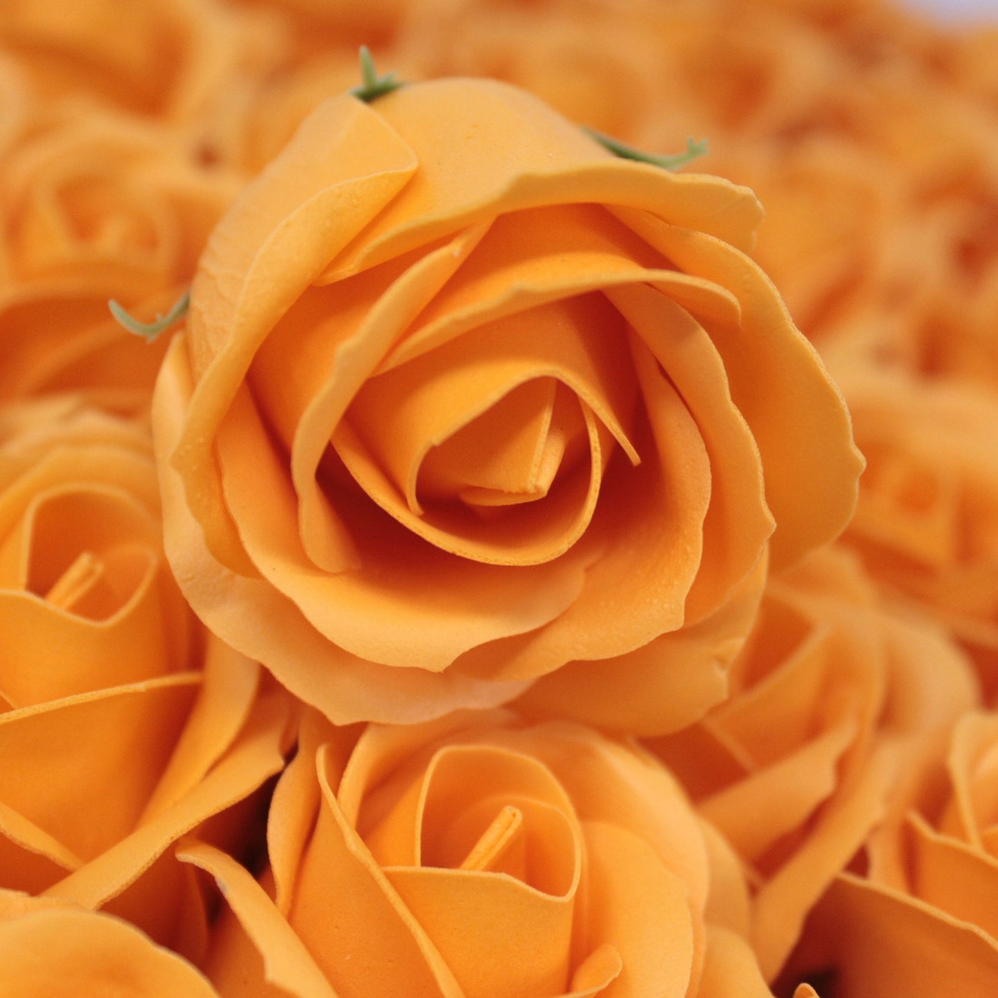 Fiori di Sapone DIY - Rosa M - Arancio