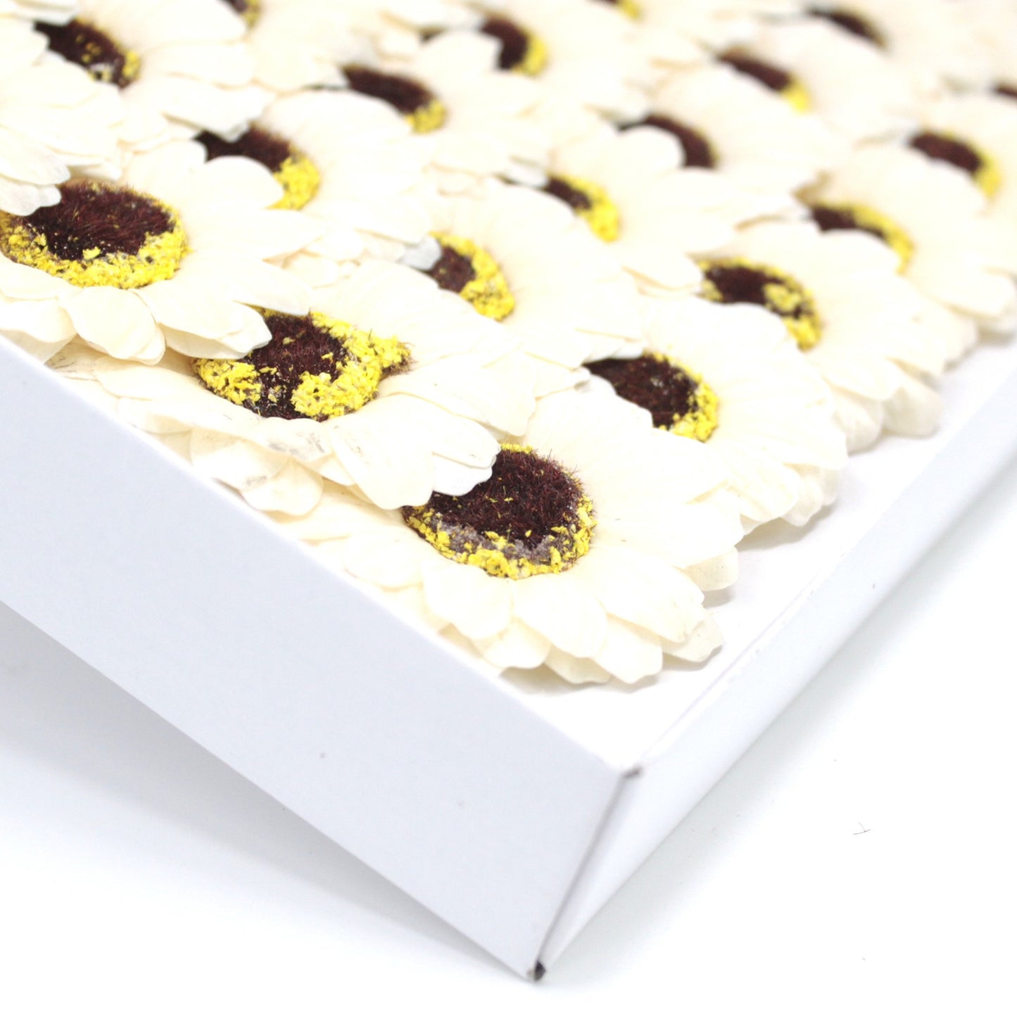 Fiori di Sapone DIY - Girasole  - Avorio