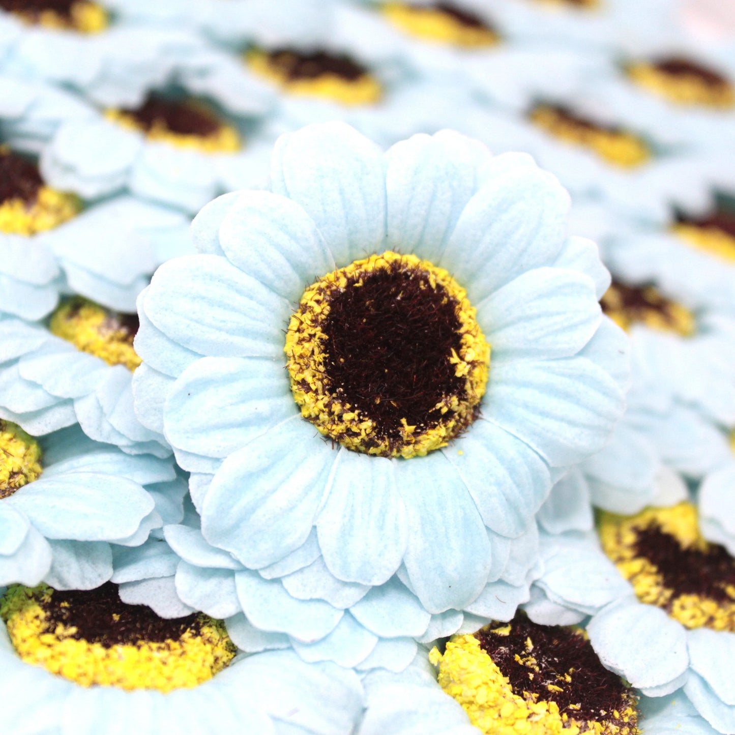 Fiori di Sapone DIY - Girasole S - Blu