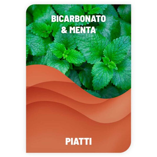 LAVAPIATTI BICARBONATO & MENTA prezzo di 1 litro