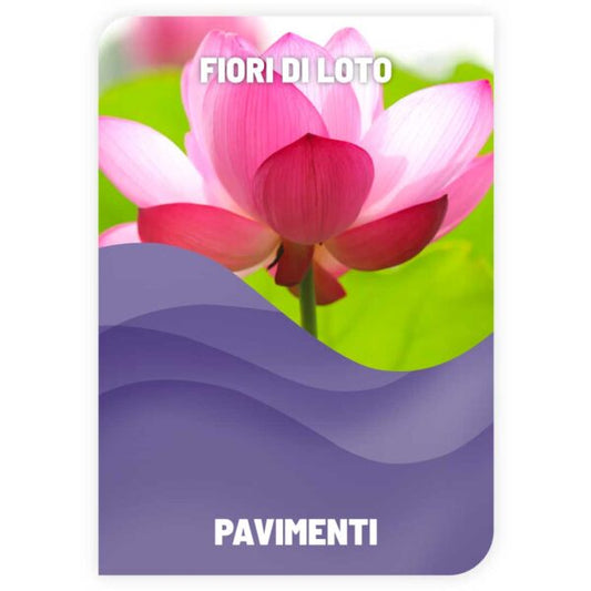 LAVAPAVIMENTI FIORI DI LOTO prezzo di 1 litro