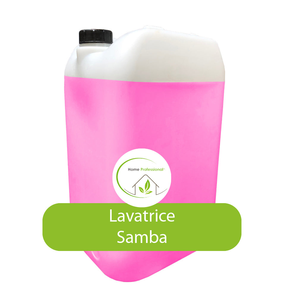 HOME PROFESSIONAL - LAVATRICE SAMBA